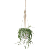 Indoor Potted Plant Hammock Stand