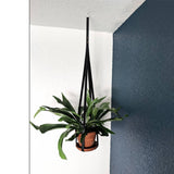 Indoor Potted Plant Hammock Stand