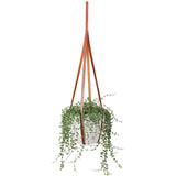 Indoor Potted Plant Hammock Stand