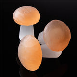 Mushroom Decor 1PC Natural Selenite Quartz Crystal Polished Stones Home Decoration Reiki Healing Natural Quartz Stone Selenita